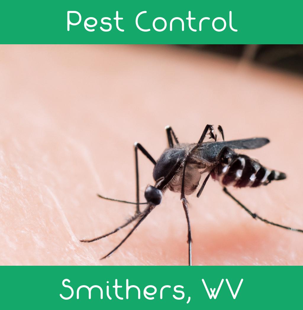 pest control in Smithers West Virginia