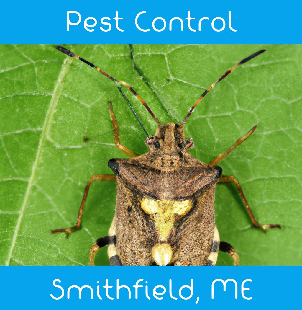 pest control in Smithfield Maine