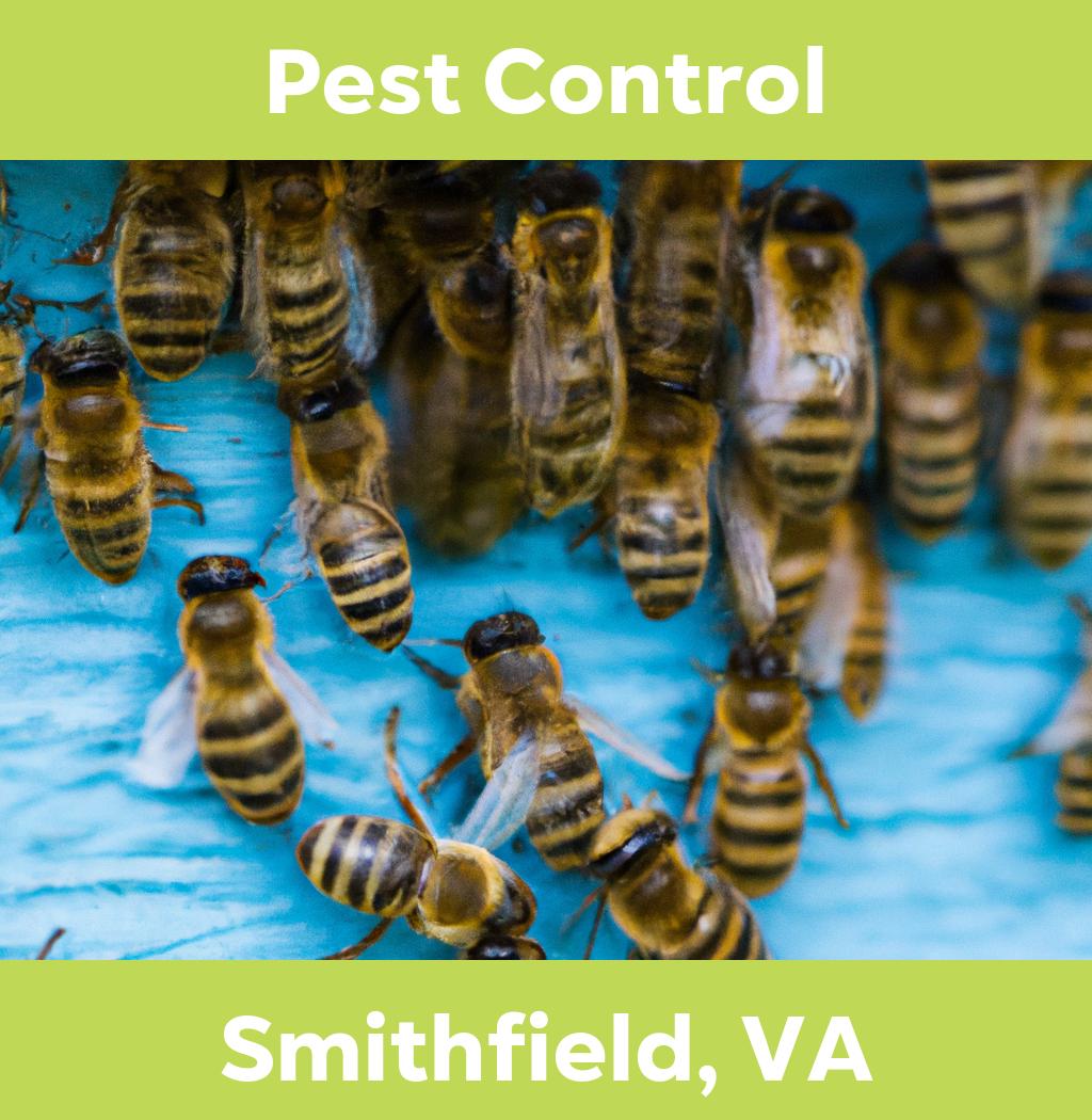 pest control in Smithfield Virginia
