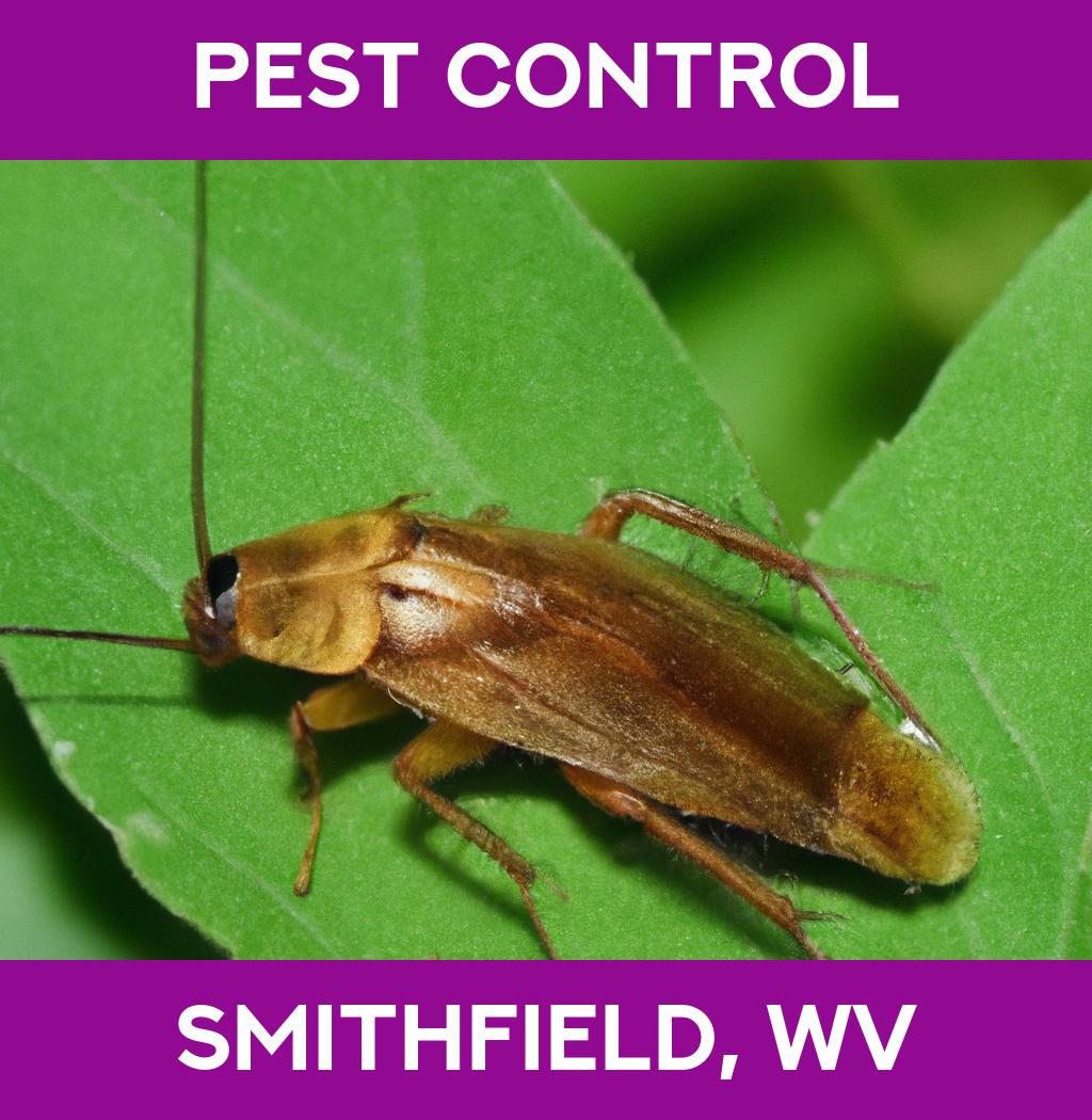 pest control in Smithfield West Virginia