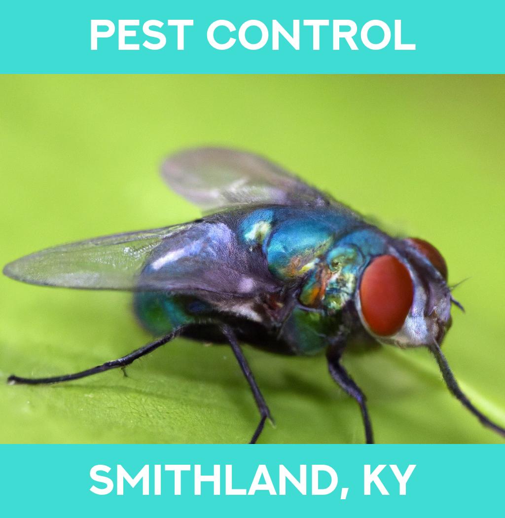 pest control in Smithland Kentucky