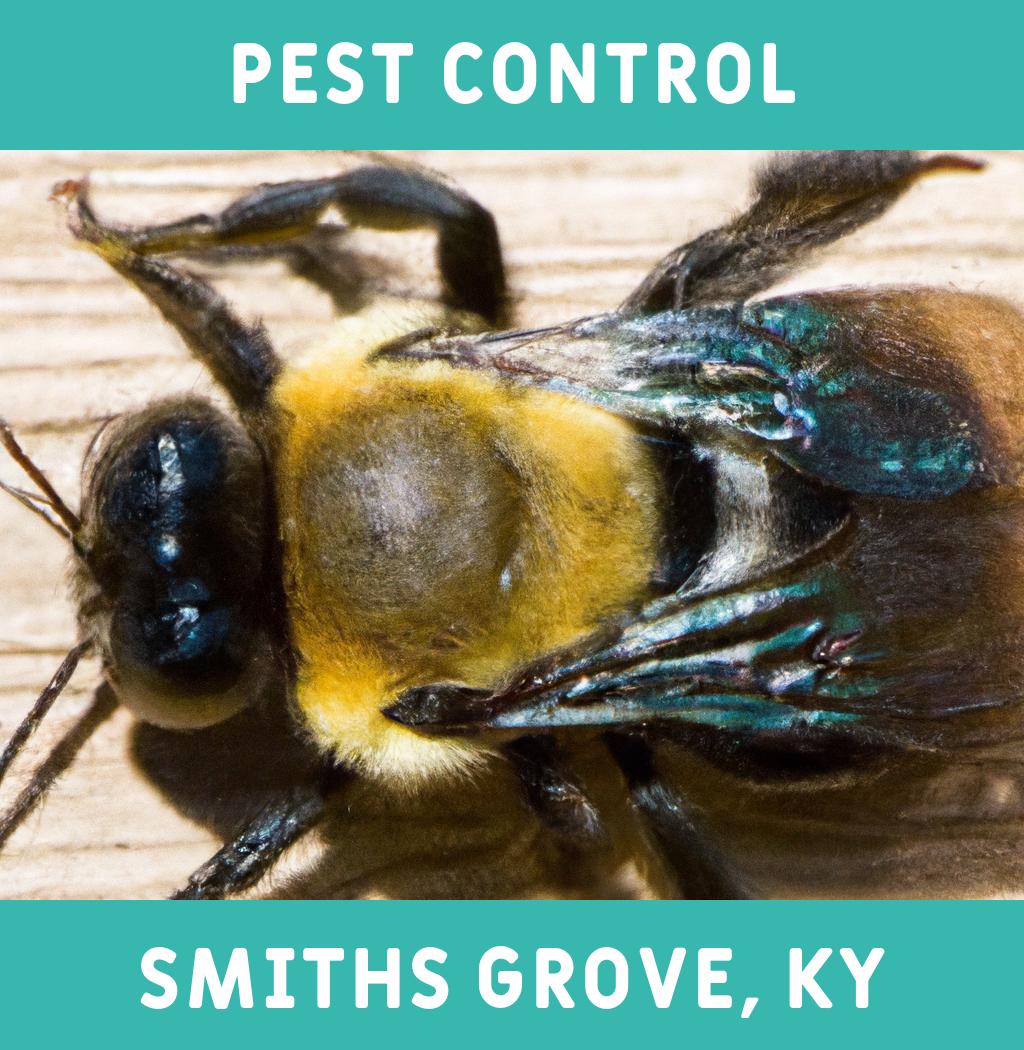 pest control in Smiths Grove Kentucky