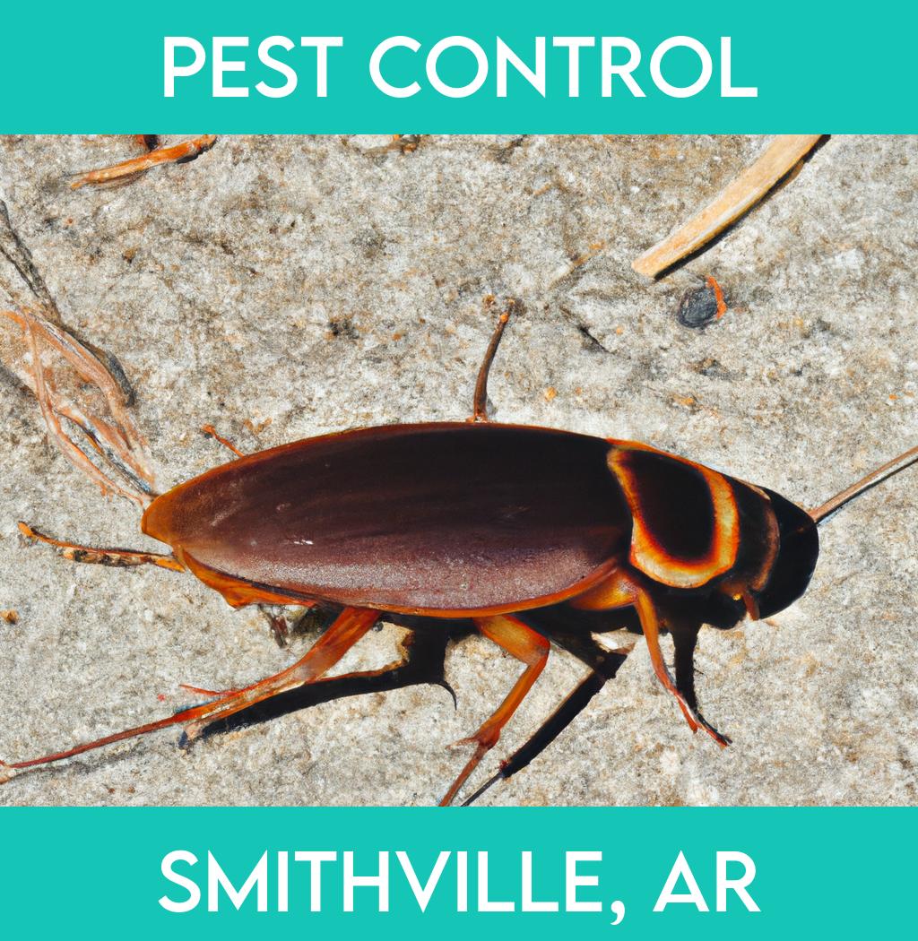 pest control in Smithville Arkansas