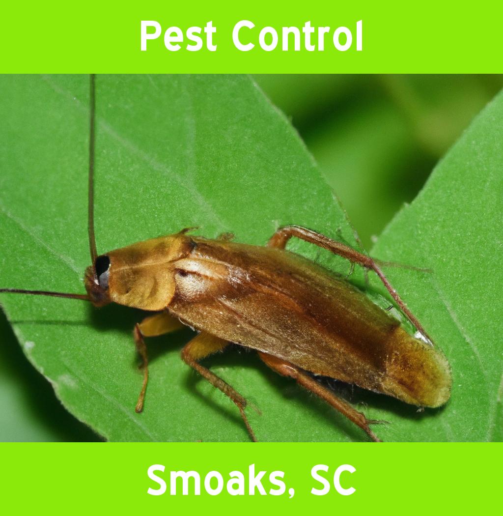 pest control in Smoaks South Carolina
