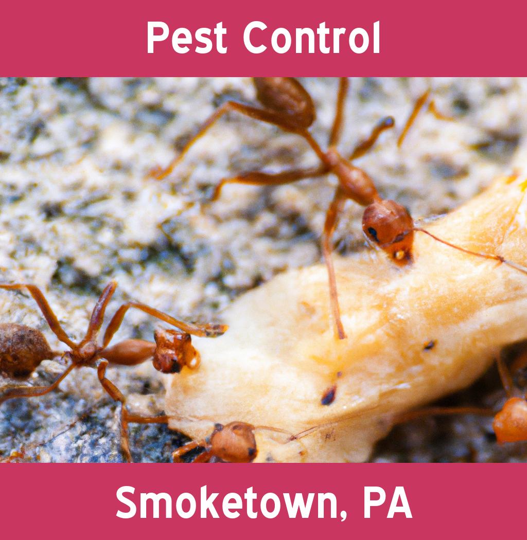 pest control in Smoketown Pennsylvania