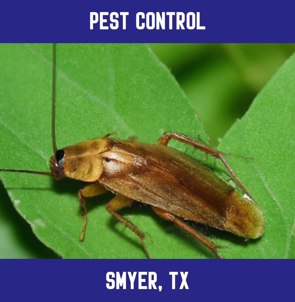 pest control in Smyer Texas