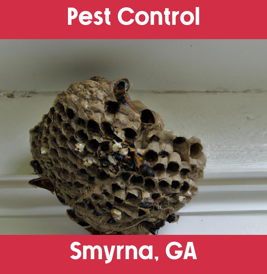 pest control in Smyrna Georgia