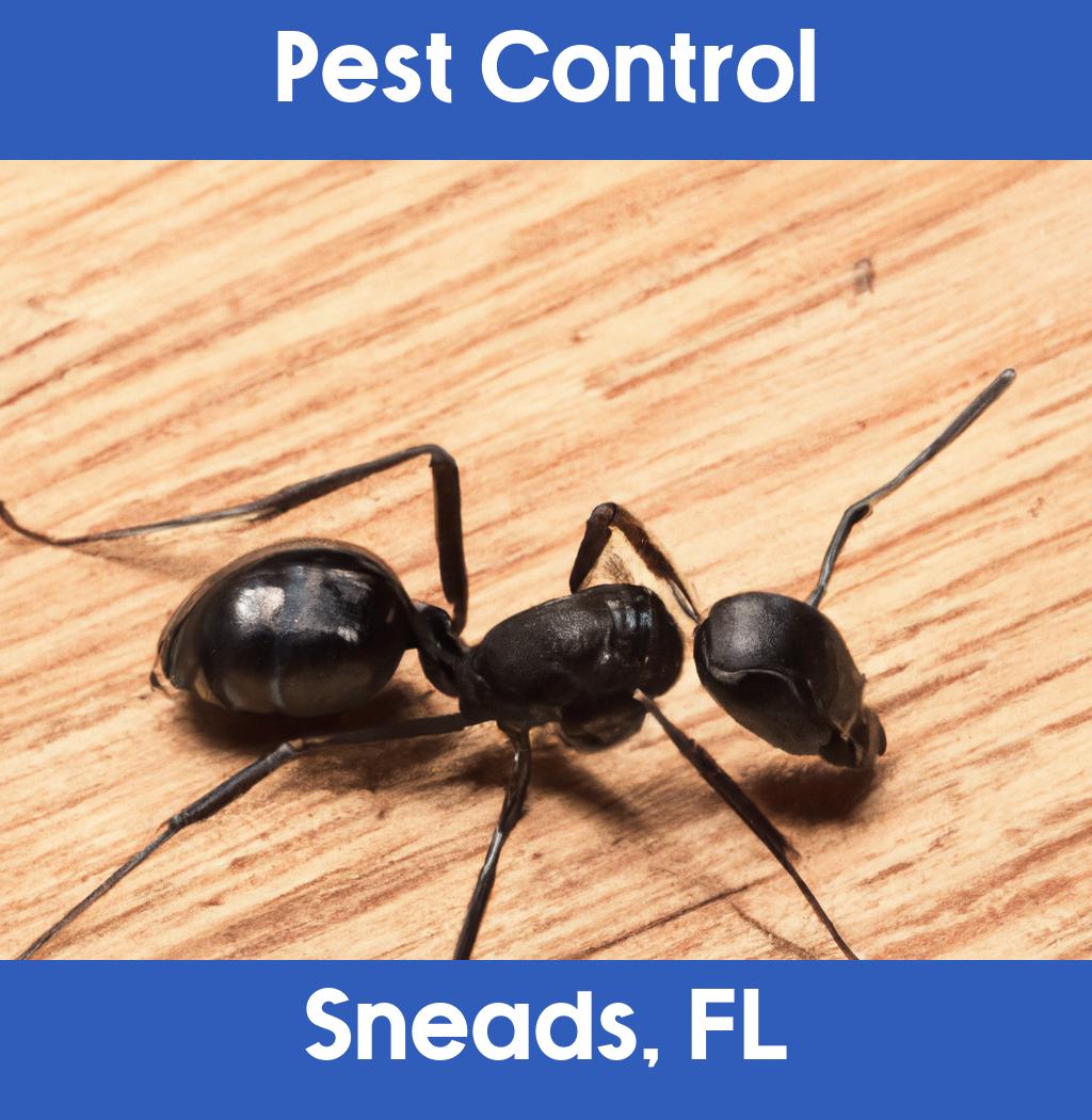 pest control in Sneads Florida