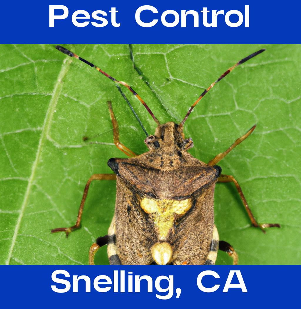 pest control in Snelling California