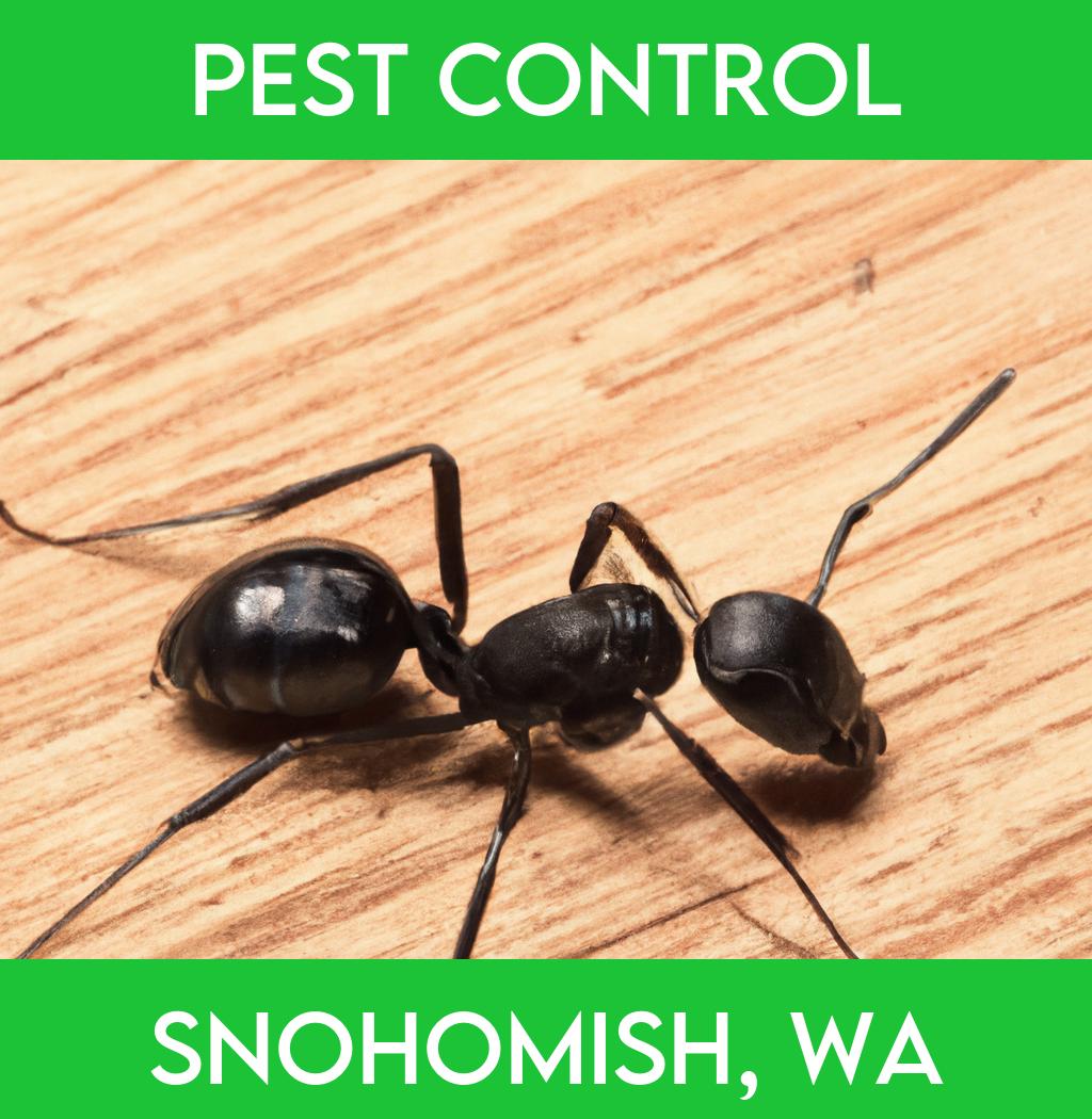 pest control in Snohomish Washington