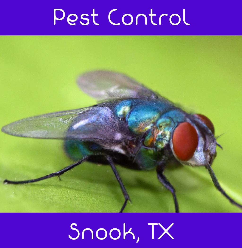 pest control in Snook Texas