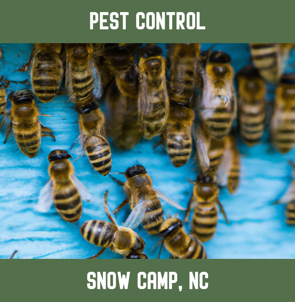 pest control in Snow Camp North Carolina