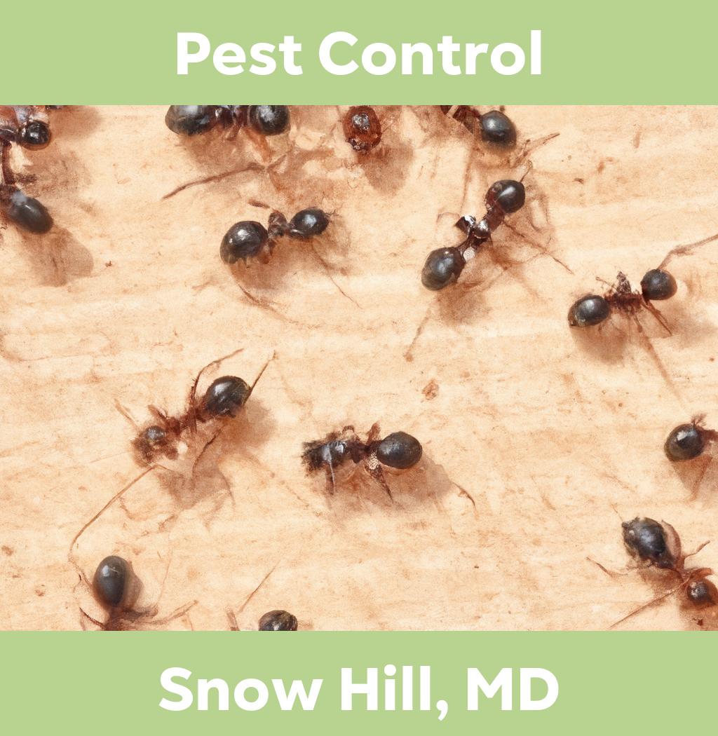 pest control in Snow Hill Maryland