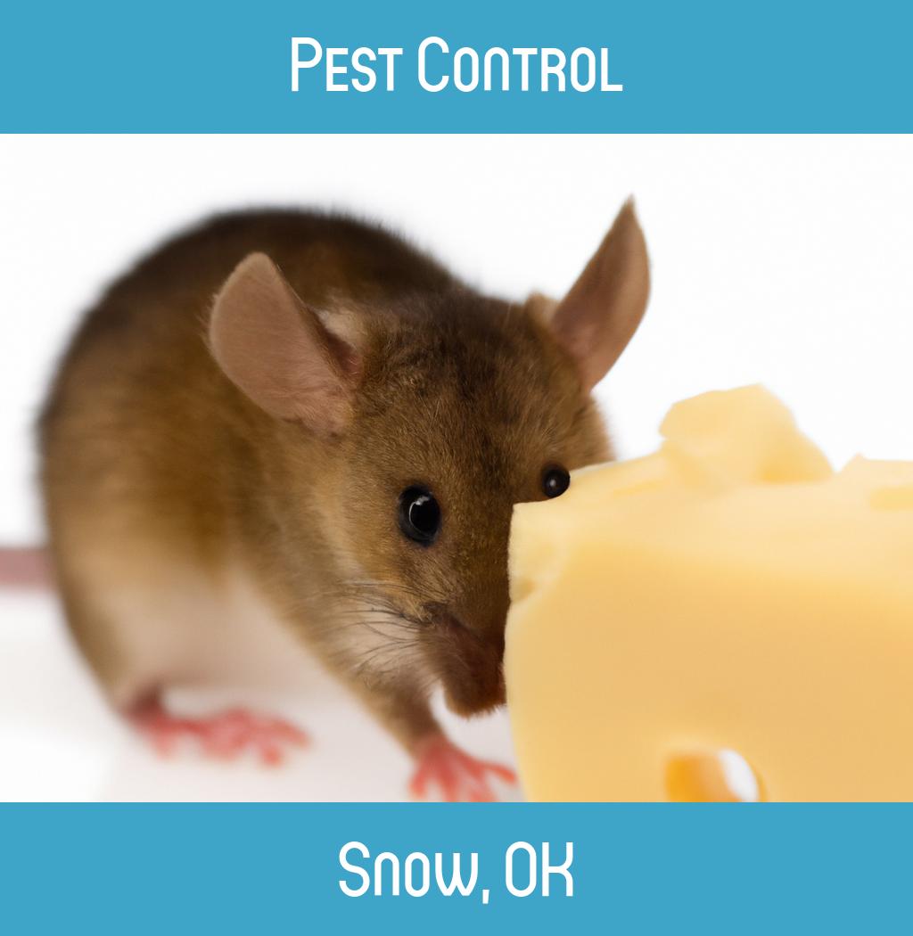 pest control in Snow Oklahoma