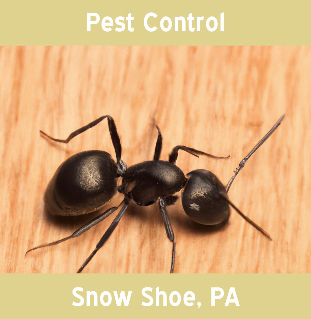 pest control in Snow Shoe Pennsylvania