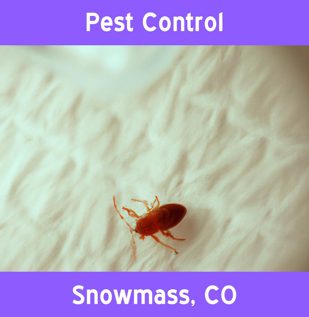 pest control in Snowmass Colorado