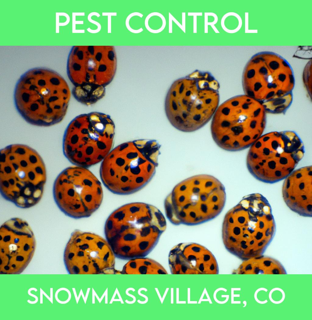 pest control in Snowmass Village Colorado