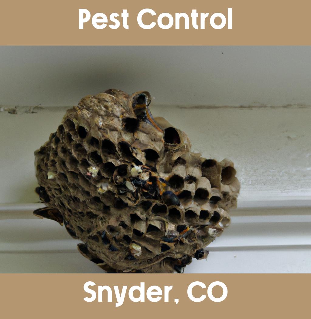 pest control in Snyder Colorado