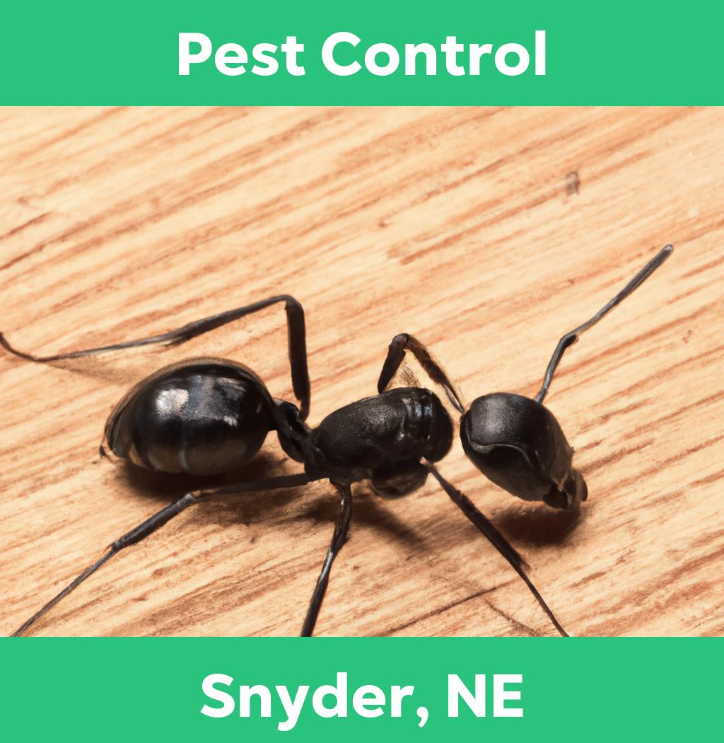 pest control in Snyder Nebraska