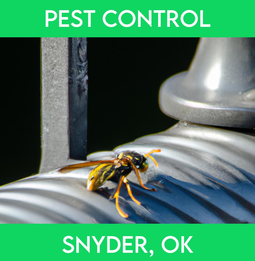 pest control in Snyder Oklahoma