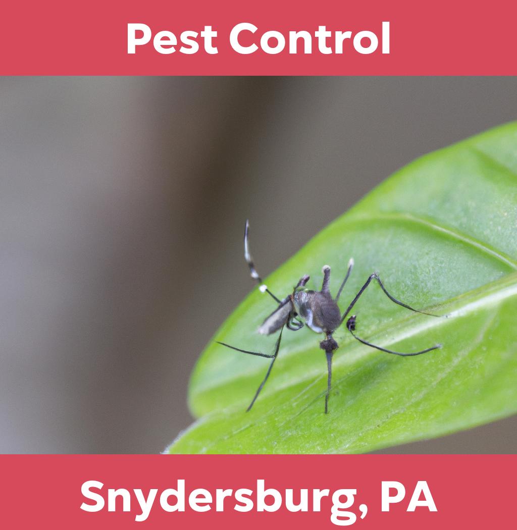 pest control in Snydersburg Pennsylvania