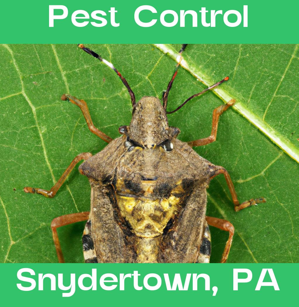 pest control in Snydertown Pennsylvania