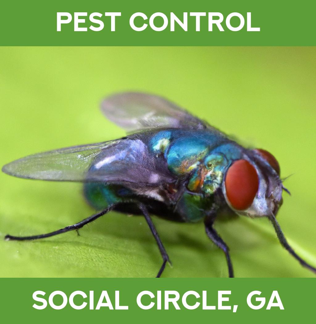 pest control in Social Circle Georgia