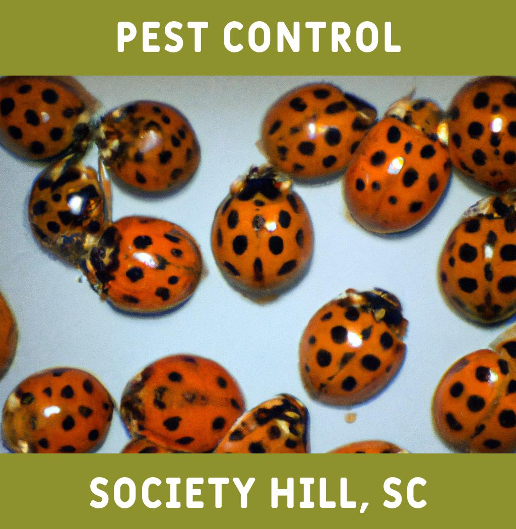 pest control in Society Hill South Carolina