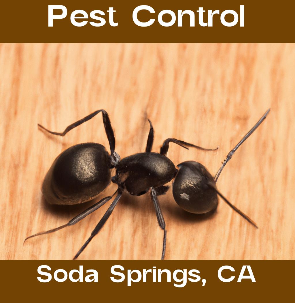 pest control in Soda Springs California
