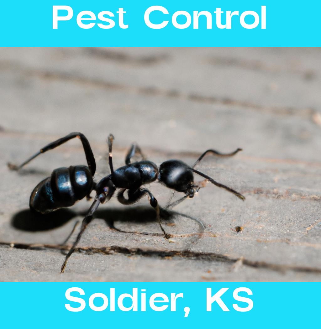 pest control in Soldier Kansas