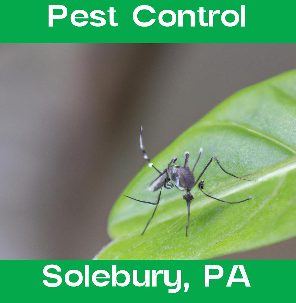 pest control in Solebury Pennsylvania