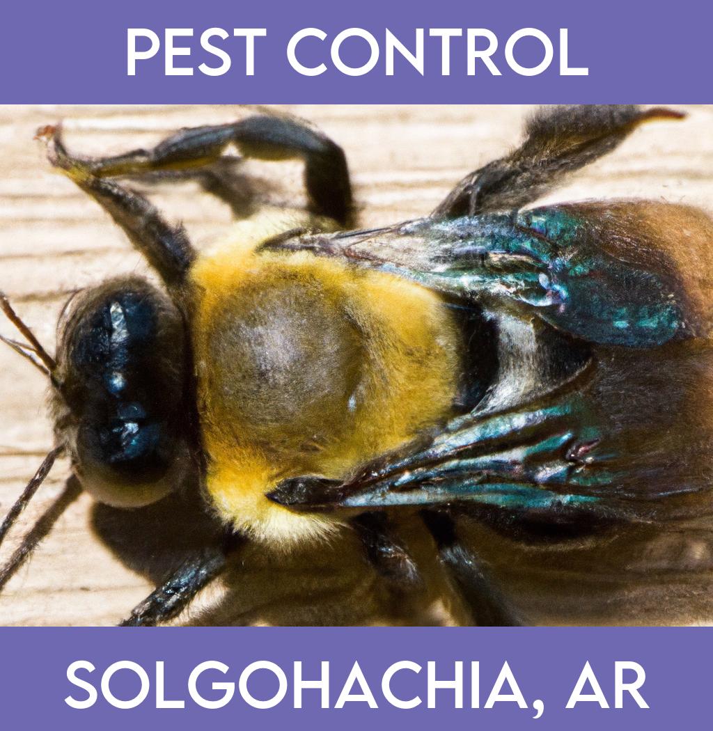 pest control in Solgohachia Arkansas