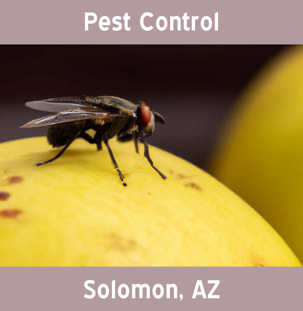 pest control in Solomon Arizona