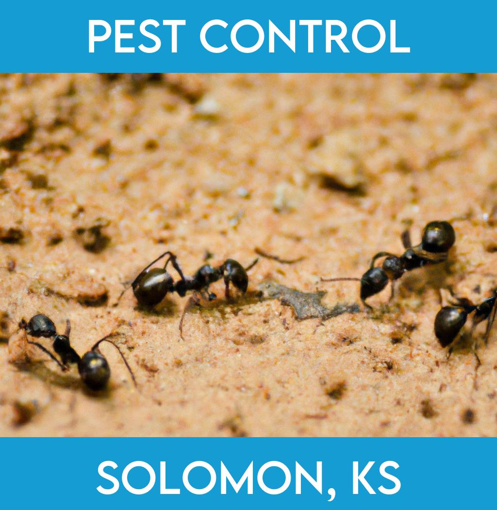 pest control in Solomon Kansas