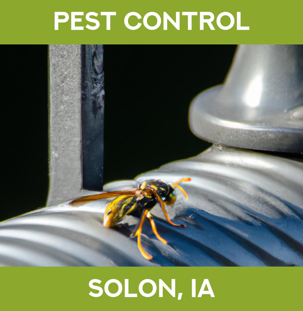 pest control in Solon Iowa