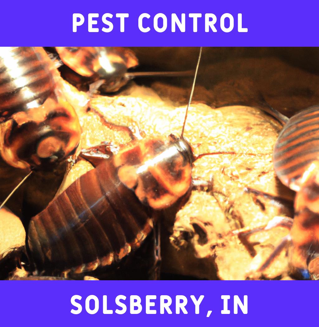 pest control in Solsberry Indiana