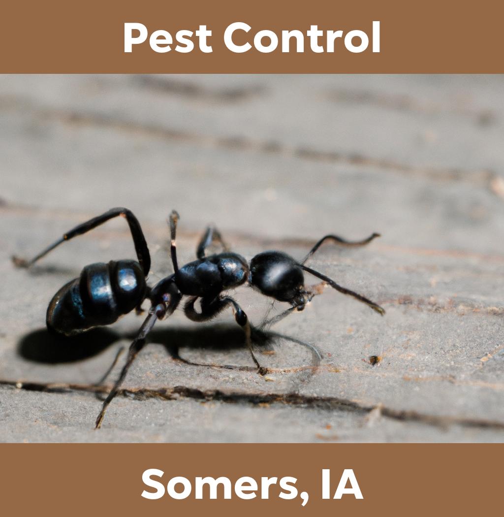 pest control in Somers Iowa