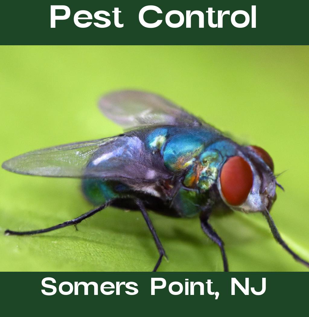 pest control in Somers Point New Jersey