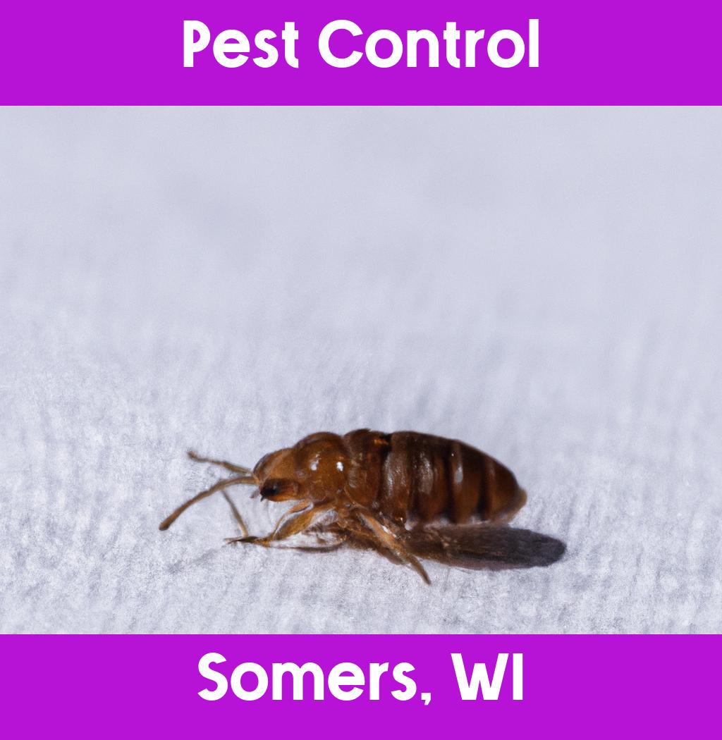 pest control in Somers Wisconsin