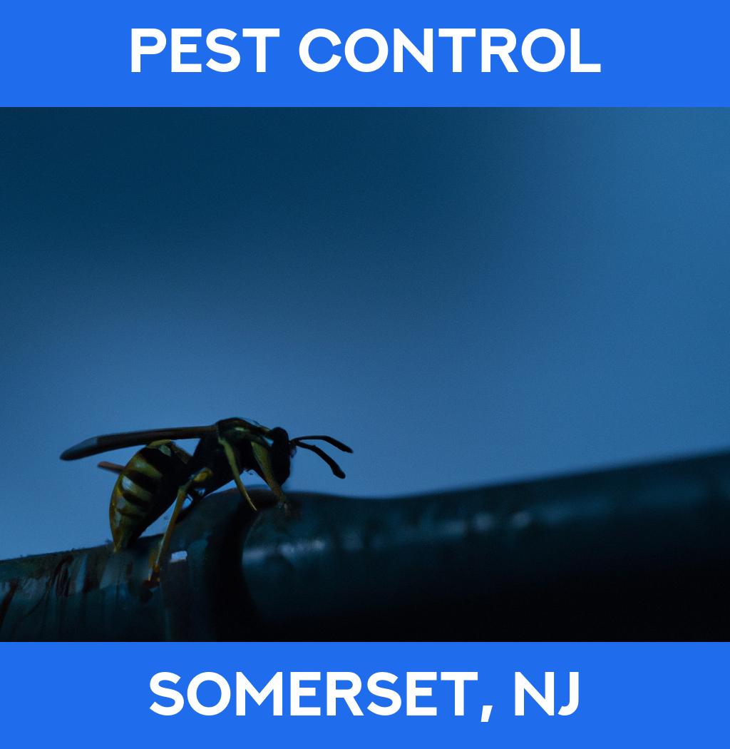 pest control in Somerset New Jersey