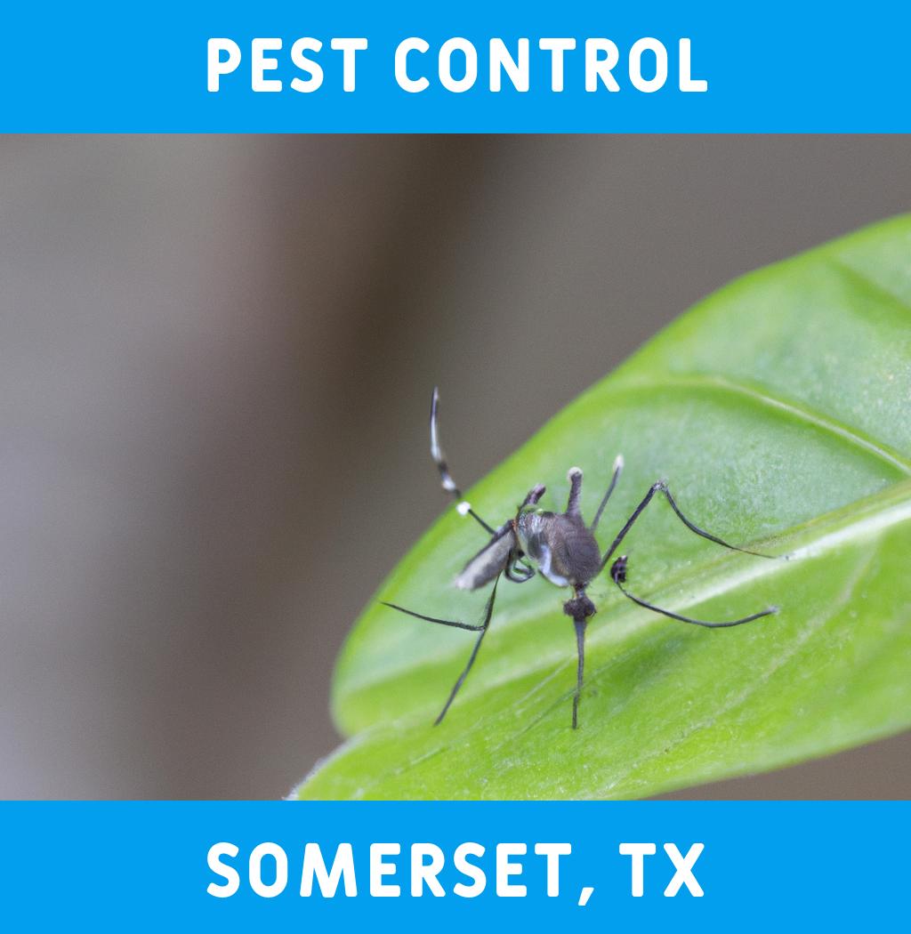 pest control in Somerset Texas