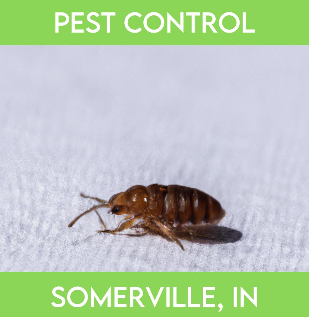 pest control in Somerville Indiana