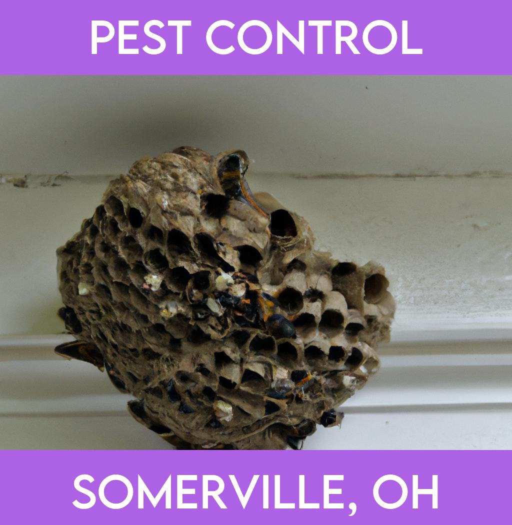 pest control in Somerville Ohio
