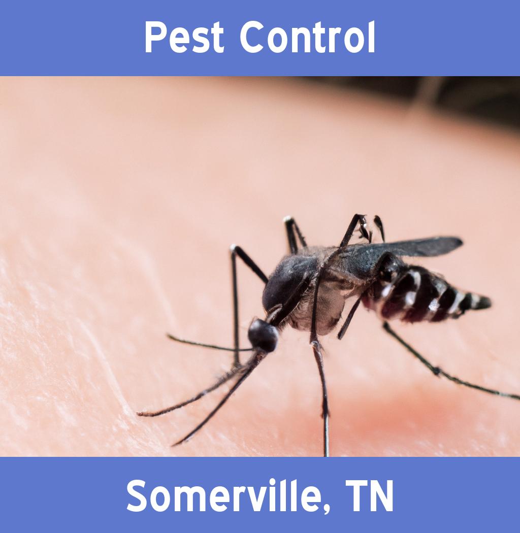 pest control in Somerville Tennessee