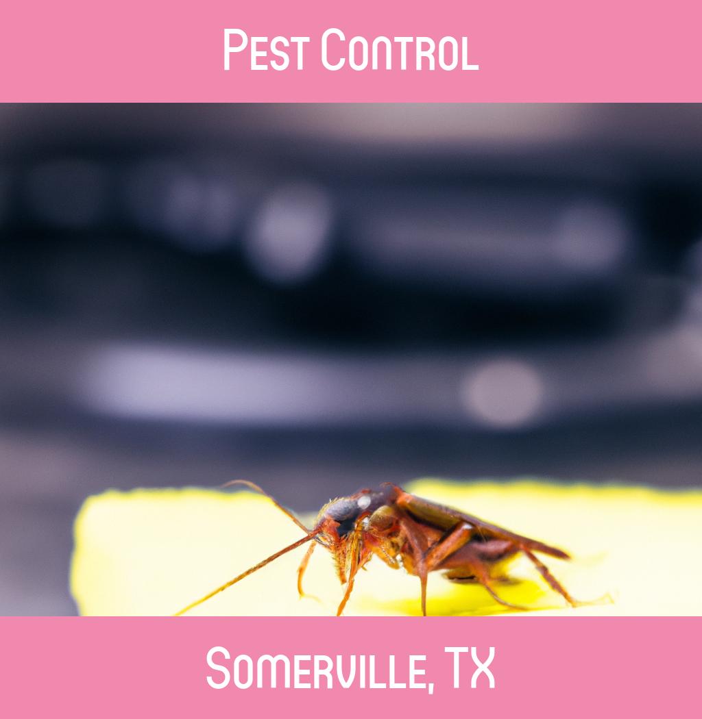 pest control in Somerville Texas