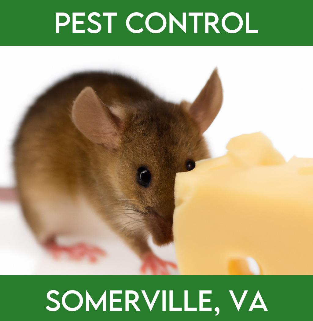 pest control in Somerville Virginia