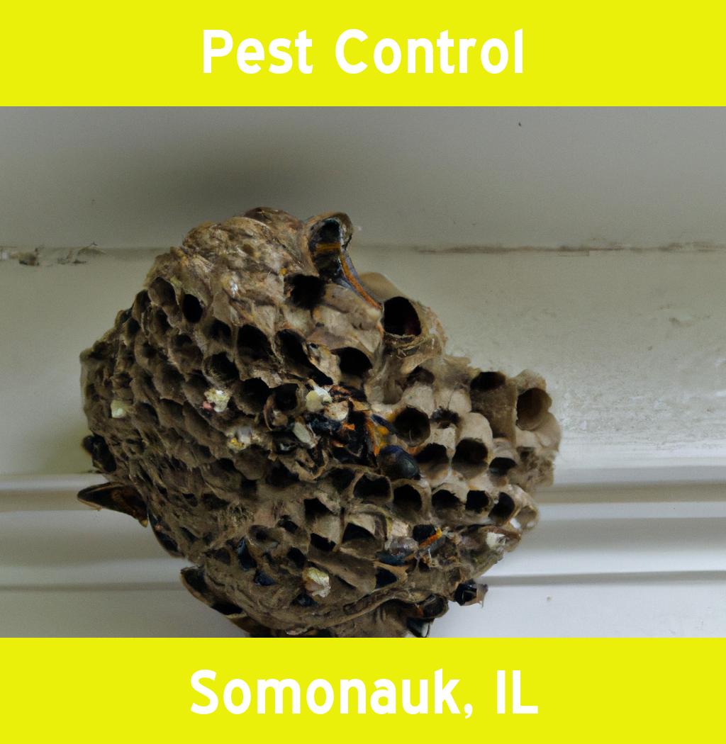pest control in Somonauk Illinois