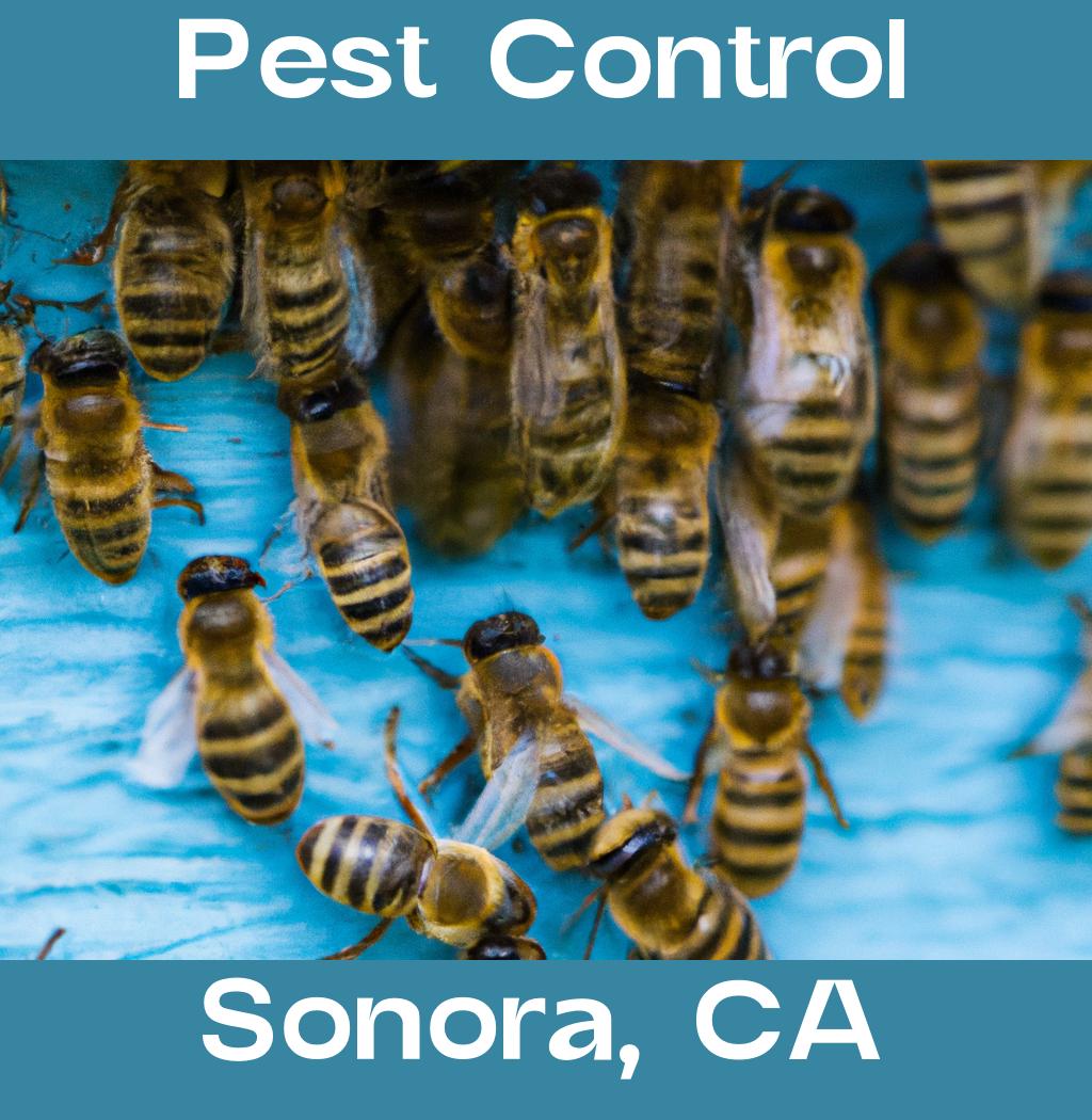 pest control in Sonora California