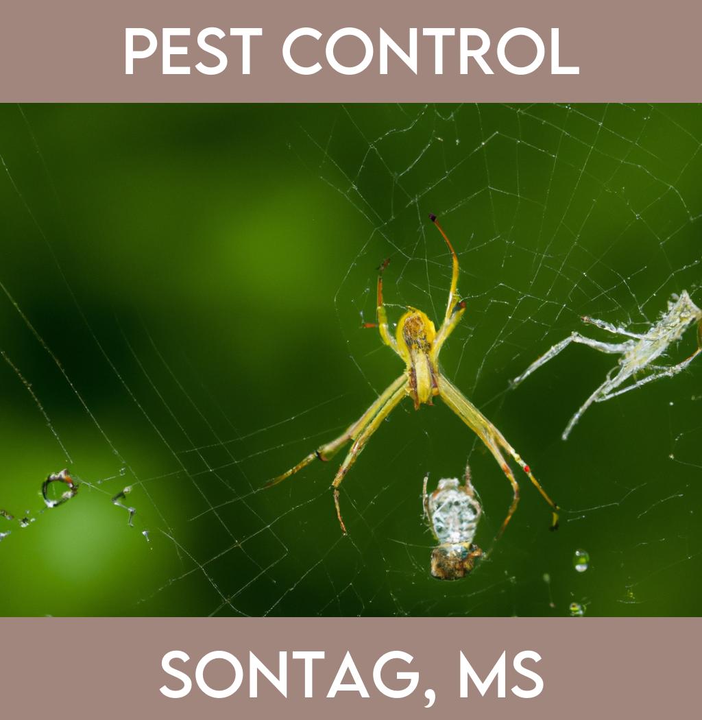 pest control in Sontag Mississippi