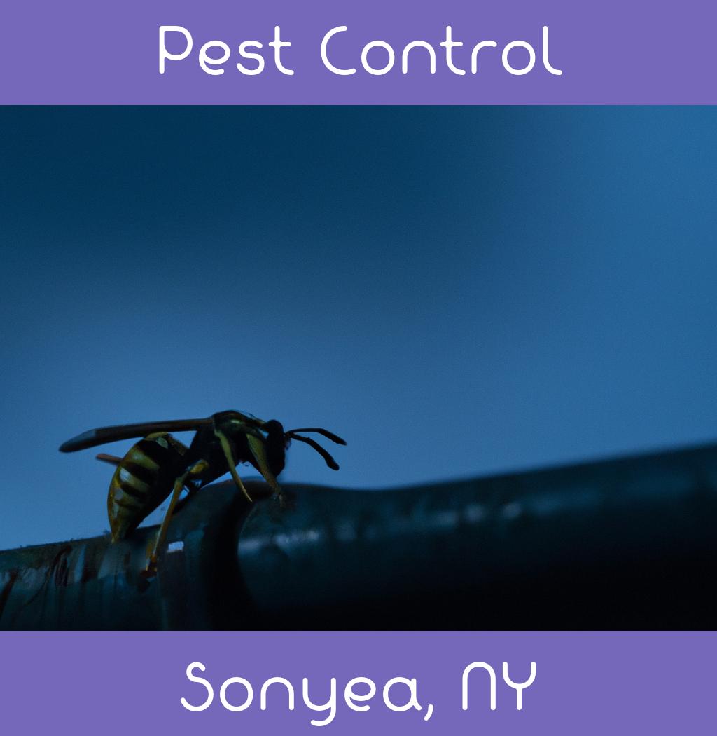 pest control in Sonyea New York